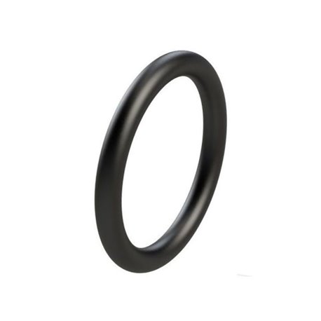 Oring krócica węża wlotowego