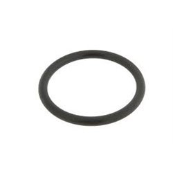 Oring pokrywy zaworu