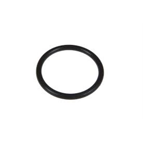 O-RING - ZAWÓR pnuq UDOR O-Ring D21,89 