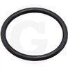21 Oring 1/2"