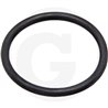 20 Oring 1/2"