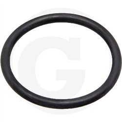O-ring do grodzi 1''