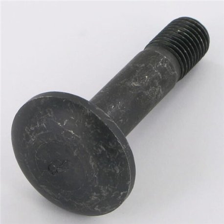 Śruba okrągła płaska M16x75-10.9