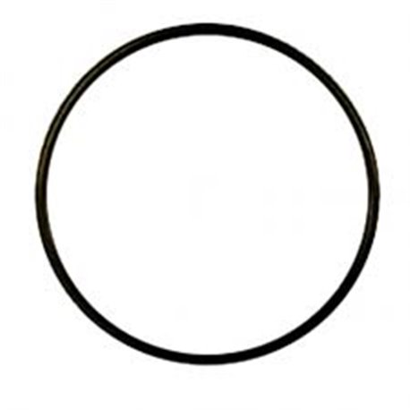 AM64 Oring