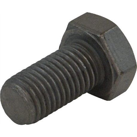 Śruba