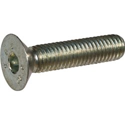 Śruba