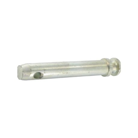 Sworzeń standardowy, 20 x 83 mm