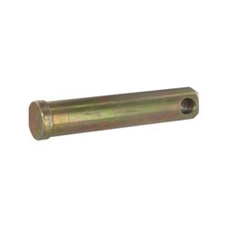 Sworzeń standardowy, 25 x 117 mm