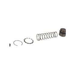 Zestaw naprawczy, do cylinderk RK38802K FTE 4028569175003