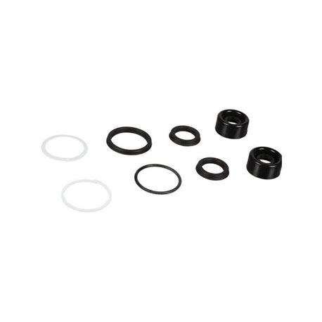 Zestaw naprawczy, do cylinderk RK31029 FTE 4028569172491