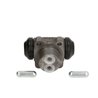 Cylinderek hamulcowy koła R22036C1 FTE 4028569200071