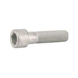 Śruba z łb.walc. M16x65-8,8 DI 3016025 Lemken 3016025