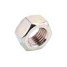 Nakrętka M24, DIN934-8 ocynk. 3031019 Lemken 8719607085229