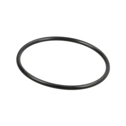 Pierścień uszczelniający o-ring