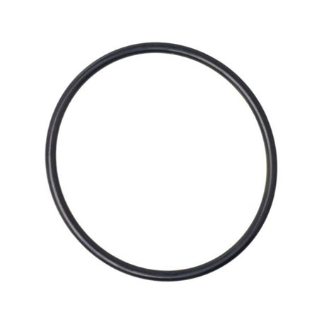 Dana Spicer 001.05.282.3 - Oring 001052823 Spicer Dana 2015-001052823