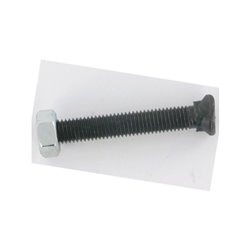 Śruba redlicy wypukla, M10 x 70 mm