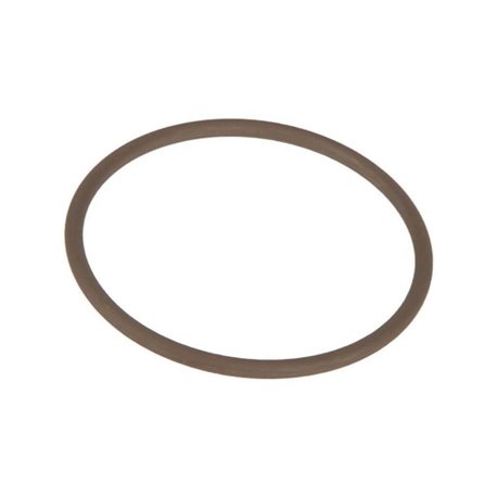 TeeJet CP77172229VI Uszczelka Viton