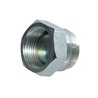Zaślepka gwintowana BSP 1/4"