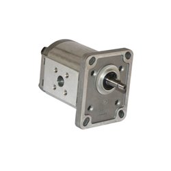 Pompa zębata Polaris grupa 1 - PLP103D081E1 Casappa 8716106960927