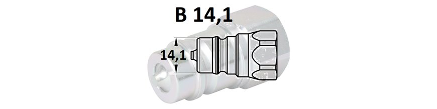 1/4" NPT