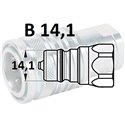 1/4" NPT