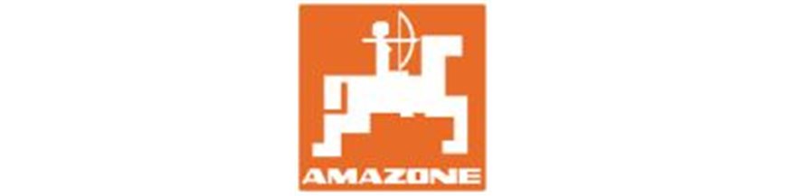 Amazone