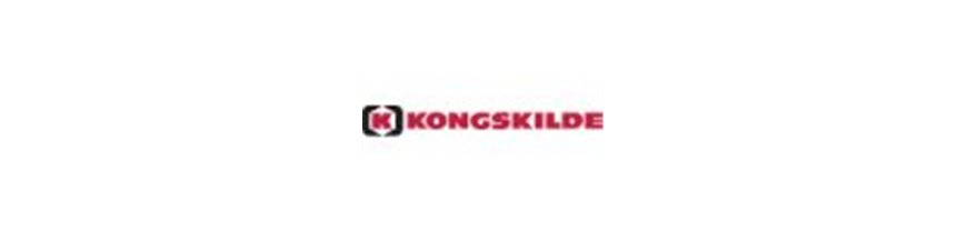 Kongskilde