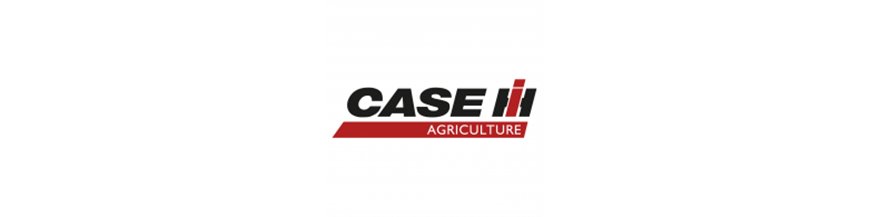 Case