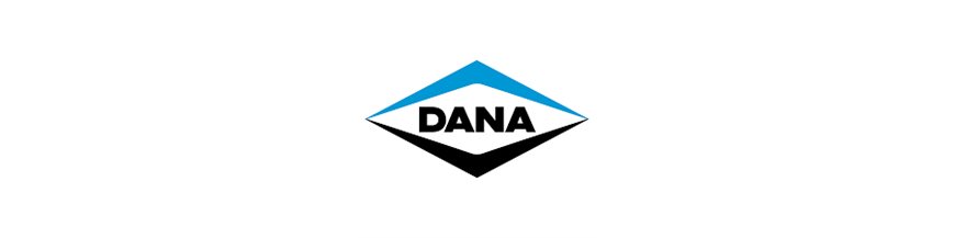 Dana Spicer