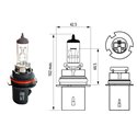 Żarówki P29t /PX29t/